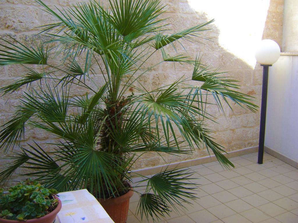 B&B Aquila Alberobello Exterior photo